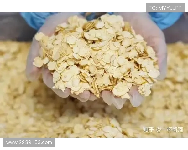 东方卫生直播：健康新风尚，全民养生指南